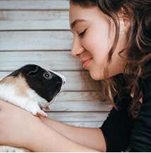 Ola Pet Farma - farmácia de manipulação veterinária em São Paulo