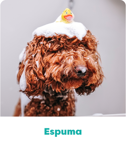 A farmácia de manipulação loção para banho Pet.