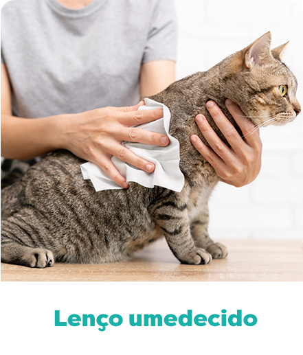 A farmácia de manipulação medicamento pet. Lenço umedecido.