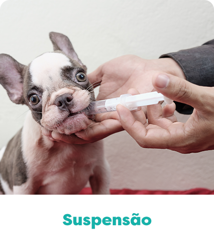 Medicamento manipulado para pet da Olá Pet Farma