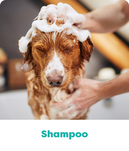 Shampoo para Pet. Ola Pet Farma, shampoo Manipulado para pet.